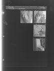 Snow Pictures (4 Negatives (February 13, 1960) [Sleeve 35, Folder b, Box 23]